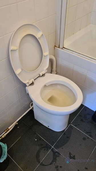  verstopping toilet Ommen